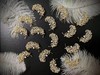 大羽毛珍珠胸花 商品缩略图4