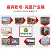 伊赛国产黄牛 精品肥牛肉卷/肉片1斤 火锅食材 商品缩略图1