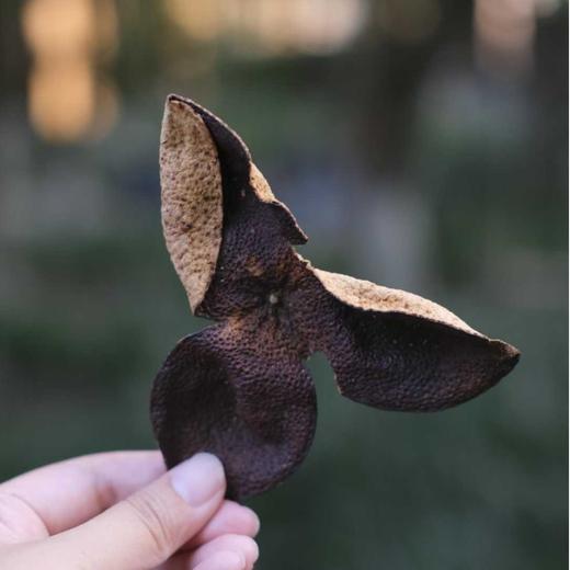 【侨宝  岭南印象陈皮】源自新会核心产区，外皮自然色泽，纹理清晰，内囊质地蓬松，陈香裹挟着淡淡果香，茶汤金黄透亮，入口醇厚顺滑，回甘迅速且悠长。新款礼盒，净含量100g，江浙沪皖顺丰包邮~ 商品图3