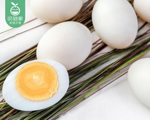 黑嘴白丫连城白鹜鸭蛋/1盒（10枚，共650g±50g）生产日期：4月16日左右 商品图4
