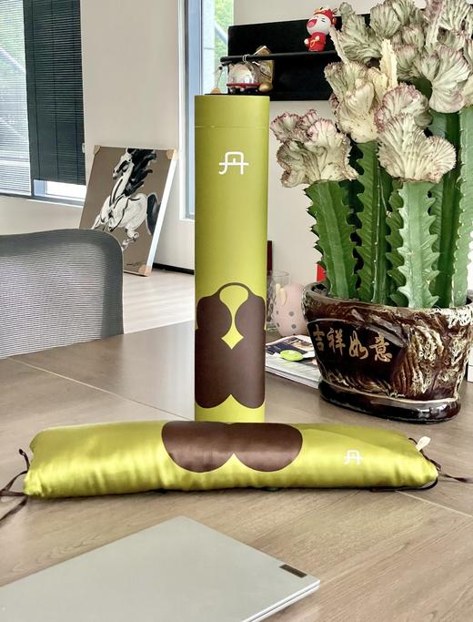 有了Ta家里2000块的枕头瞬间不香了，太好睡了！ 【真不二脖颈加热枕】首创草本药熏+热敷灸疗+弧形牵引，三效合一！✌️ ✅真正适合国人体型的理疗药熏枕 商品图0
