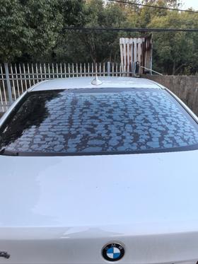  用了几年后，汽车后挡风玻璃膜起泡怎么办？这篇文章真真讲透了！