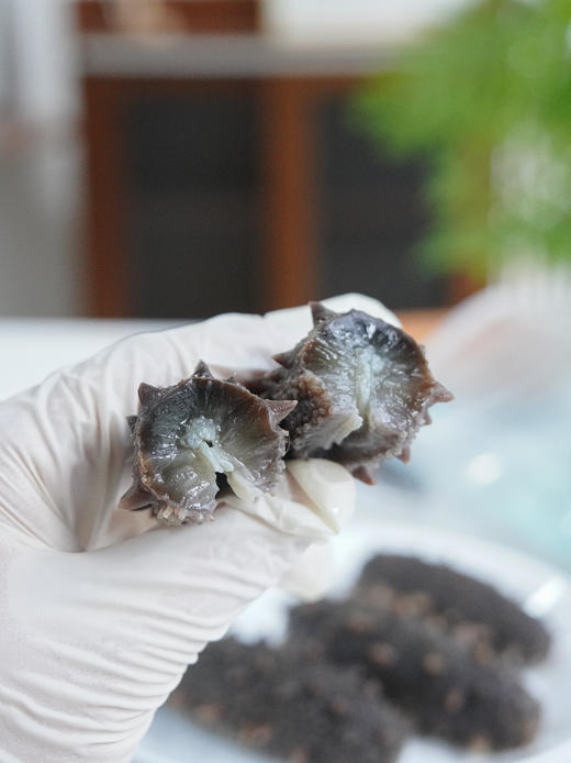 【下单享赠品】【 高营养高蛋白】 正宗大连辽参即食海参   5年以上8头规格 纯净冷水海域捕捞  入口安心 解冻即食  蒸蛋煲汤 营养美味 自吃送礼佳 新老包装随机发 商品图3