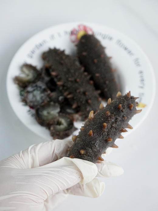 【下单享赠品】【 高营养高蛋白】 正宗大连辽参即食海参   5年以上8头规格 纯净冷水海域捕捞  入口安心 解冻即食  蒸蛋煲汤 营养美味 自吃送礼佳 新老包装随机发 商品图5