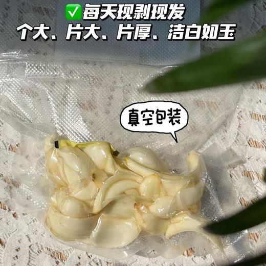 【鲜百合净片】个大、片大、片厚、洁白如玉、口感粉糯，真正能有效果的，首选药食同源的龙牙百合，是鲜百合经过剥片-超声清洗-沥水-等离子灭菌-装袋真空，每天都是现剥现发，口感与整颗的新鲜百合是一样的。 商品图1