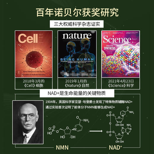 清美堂 N+12000·胶囊60粒 补充NAD+【香港直邮】 商品图2