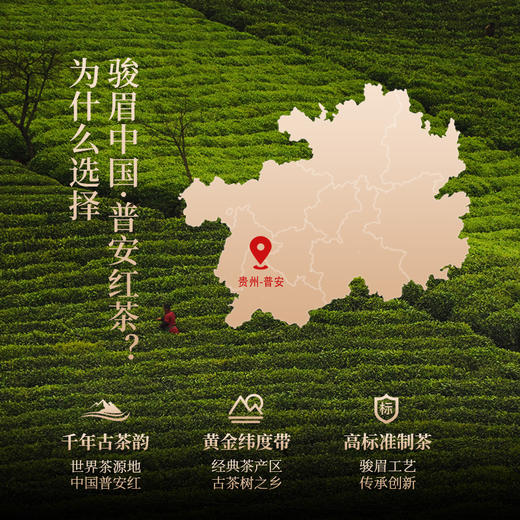 正山堂普安红 黔小茶红罐 骏眉中国红茶正宗贵州大叶种茶叶罐装自饮100g 商品图2