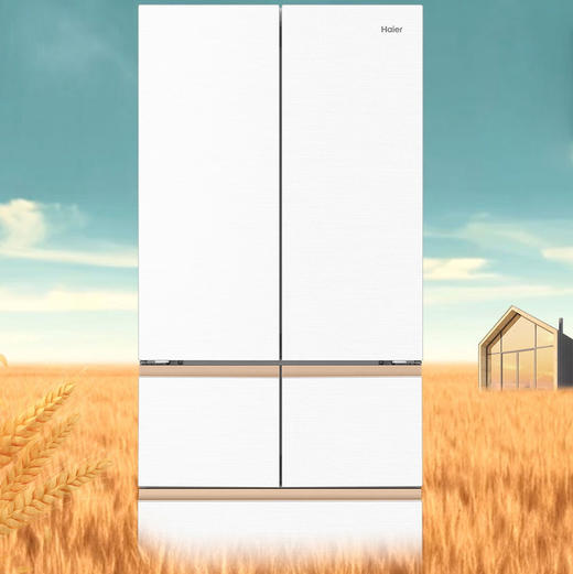 海尔（Haier）冰箱 BCD-512WGHMD1BWLU1 商品图0