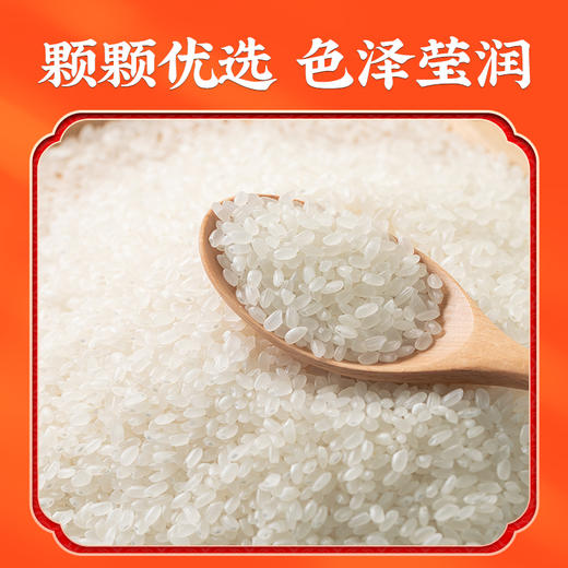 隆平芯米(辽河长粒香）5kg 商品图2
