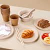 喇叭花纸浆一次性餐具套装杯盘碗筷手套露营聚餐野餐烧烤10人份 商品缩略图3