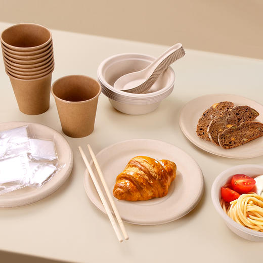 喇叭花纸浆一次性餐具套装杯盘碗筷手套露营聚餐野餐烧烤10人份 商品图3