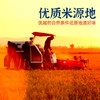 隆平芯米（东北小长粒）5kg 商品缩略图1