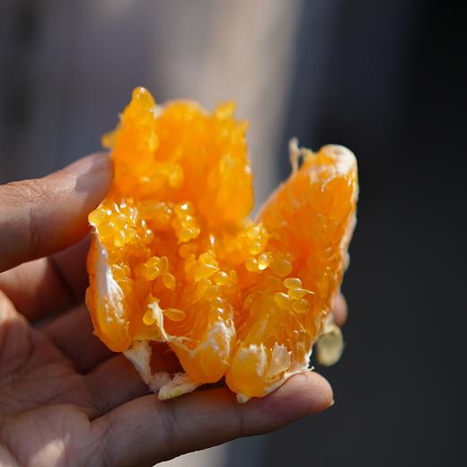 极客耙耙柑丨真正不打脱酸剂的耙耙柑，晚下树一个多月，果皮易剥，肉嫩化渣，酸甜多汁，果味浓郁，⭐️顺丰快递 商品图2