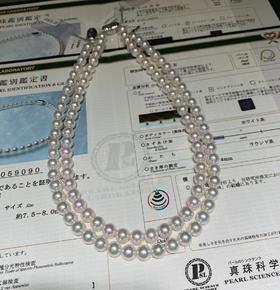 7.5-8mm akoya珍珠项链