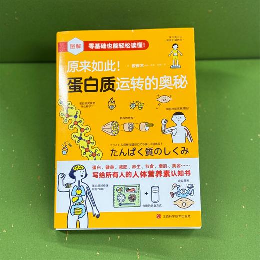 【14岁+】《原来如此！蛋白质运转的奥秘》——揭秘蛋白质运转奥秘的科学读物 商品图8