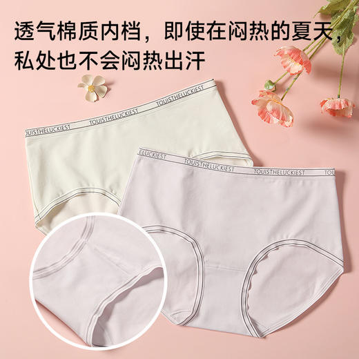 60支全棉舒适中腰内裤 商品图2