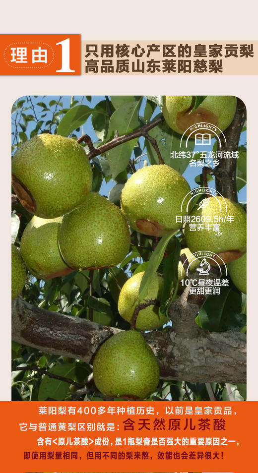 映煊亭莱阳纯梨膏 商品图2