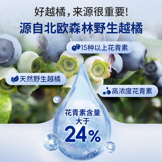 【至真专属】VEL挪威进口越橘蓝莓花青素提取物护眼片成人少年眼干眼涩眼疲劳 商品图3