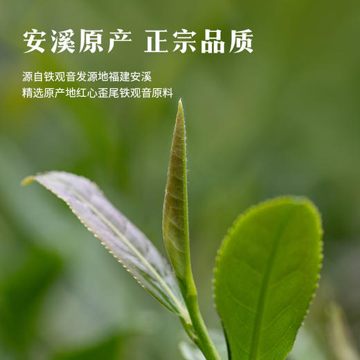 八马茶业 | 安溪铁观音清香型乌龙茶铁韵1号茶叶礼盒208g 商品图1