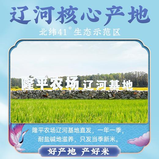 隆平芯米（辽河基地）5kg 商品图4