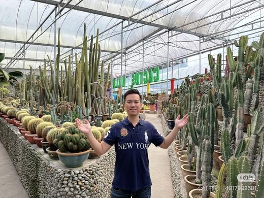 拉家 男士大马标马球刺绣徽章透气网眼纯棉Polo衫 商品图3