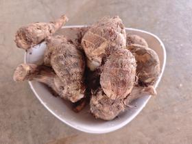 浙江台州的小芋艿下来啦！