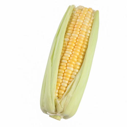 水果玉米 约550-650g/份 商品图0