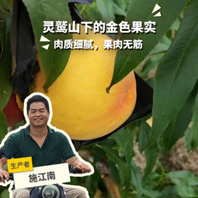 生态金秋黄桃  | 合作生产*Ecological Yellow peach| Partner Production