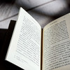 论自己和大众的无知 快与慢文丛 文艺复兴之父彼特拉克自陈心史 14世纪欧洲知识分子精神自觉自我意识管窥 商品缩略图11