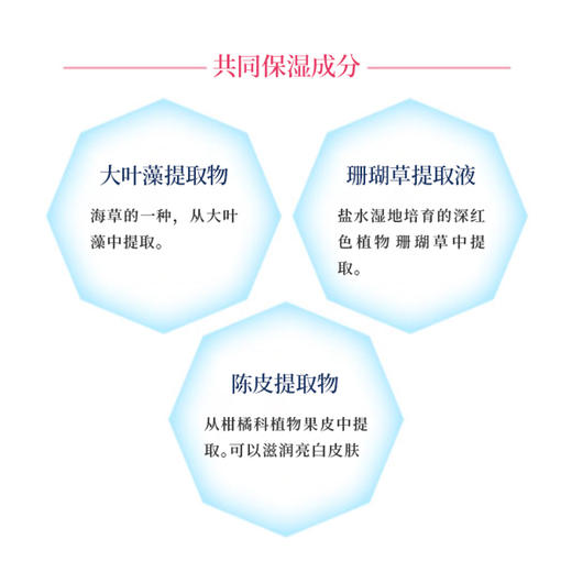 Cbon 倩朋 妃雪丽丝3W美白爽肤水 120ml 旧版【2026.06.27】 商品图4