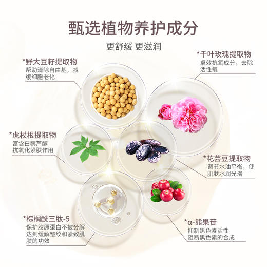 CyclePlus 菁龄 娜丽丝院线二次清洁擦拭化妆水 150ml 商品图4