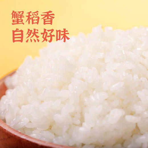 隆平芯米（东北小长粒）5kg 商品图3