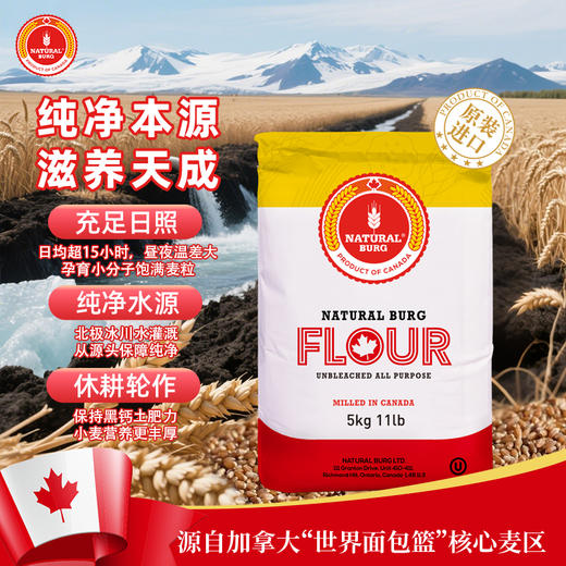圣地博格多用途高筋面粉加拿大硬红小麦粉烘焙原料5KG 商品图3