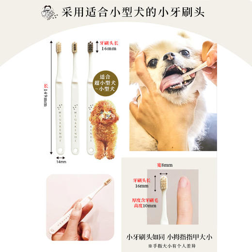 Migakende 猫咪小型犬牙刷 天然羊毛/马毛混合毛 商品图2