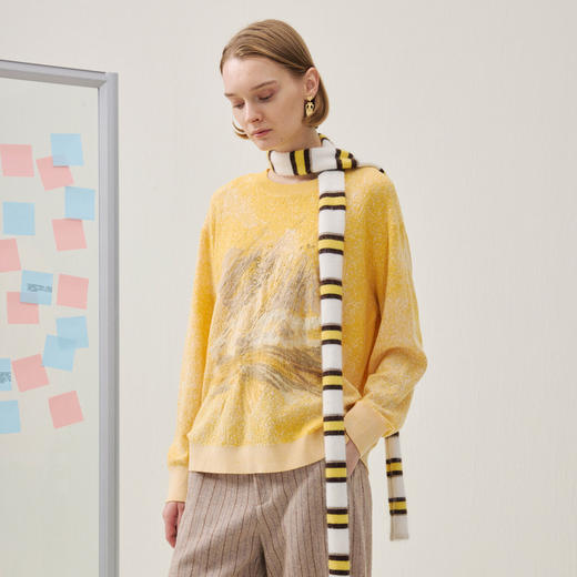 谜底套头针织衫长袖2025年冬季新品羊毛柔软蓬松毛衣女254MZ1852 商品图1