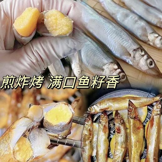 【挪威进口·99%满腹黄金籽】北海湾满籽多春鱼 深海捕捞 刺少肉嫩高蛋白 老少皆宜 250g*5大包 共2.5斤丨果蔬生鲜 商品图10