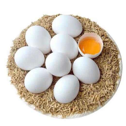 白凤鸡蛋30粒 商品图1