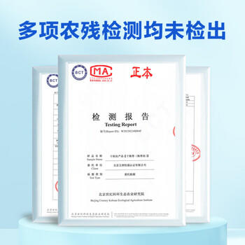 素养生活有机海带丝50g 海产干货 干海带霞浦海产 煲汤炖菜凉拌火锅食材 商品图0