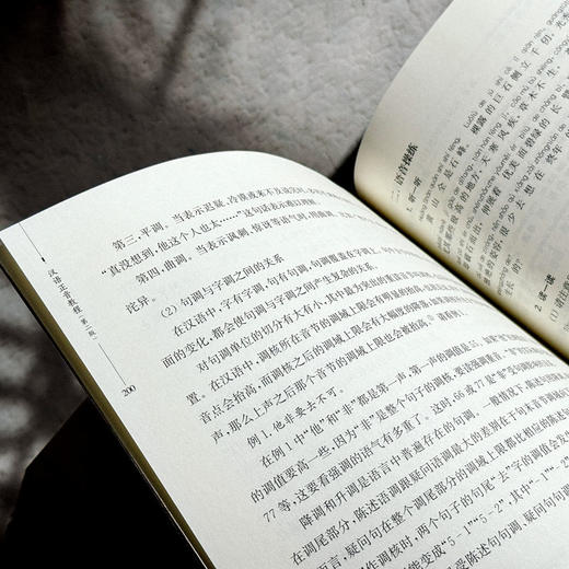 汉语正音教程 第二版 蒋冰冰 非汉语母语学习者的正音教学 商品图12