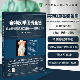 奈特医学图谱全集 肌肉骨骼系统第二分册 脊柱与下肢(第3版第6卷)杨波 刘伟 主编 9787567925762 中国协和医科大学出版社