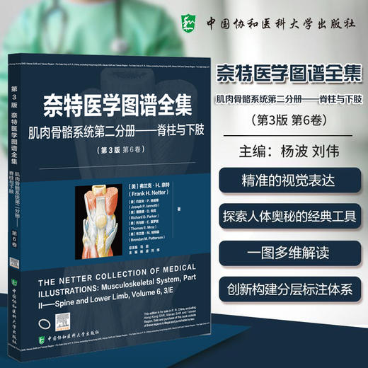 奈特医学图谱全集 肌肉骨骼系统第二分册 脊柱与下肢(第3版第6卷)杨波 刘伟 主编 9787567925762 中国协和医科大学出版社 商品图0