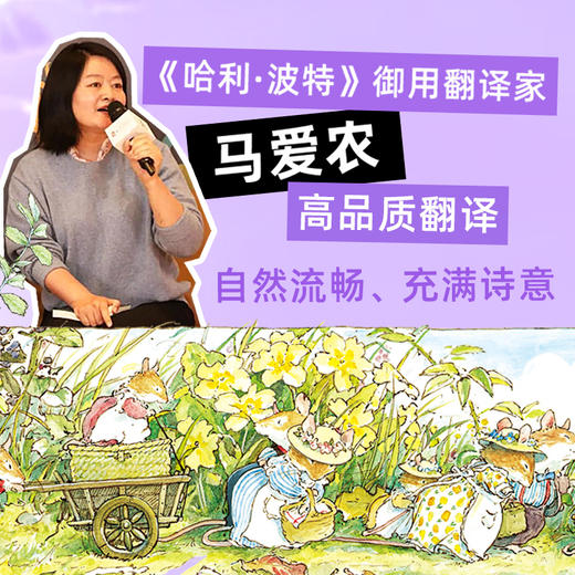 【特装刷边版】野蔷薇村的故事20世纪田园画风图画书巅峰之作 商品图5