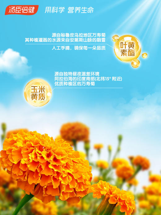 【618会员提前购】汤臣倍健DHA藻油神经酸ps磷脂酰丝氨酸儿童青少年高中生凝胶糖果 商品图3