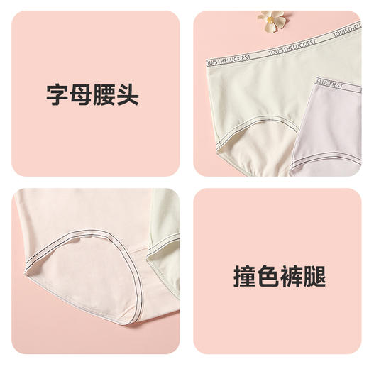 60支全棉舒适中腰内裤 商品图5