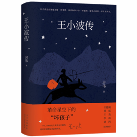 【独家旧书3折】王小波传 二手书籍（新疆 西藏 甘肃 青海 海南不发货）bj