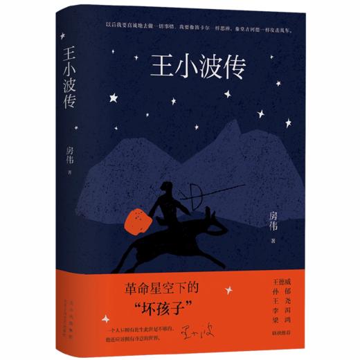 【独家旧书3折】王小波传 二手书籍（新疆 西藏 甘肃 青海 海南不发货）bj 商品图0