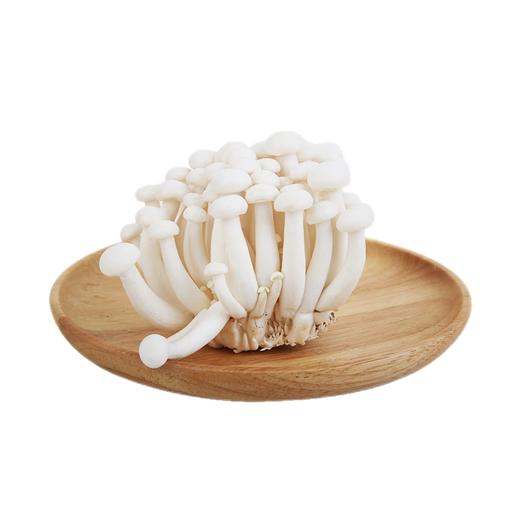白玉菇 约220g/份 商品图1