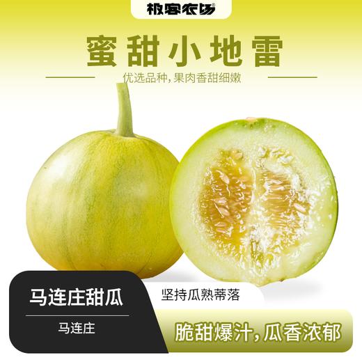 马连庄甜瓜丨原产地核心果园，香甜细腻，甘润爽口，果蒂处会发苦，去蒂削皮吃，口感更佳⭐️京东、顺丰快递 商品图0