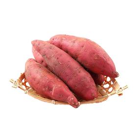 蜜薯 约550-650g/份