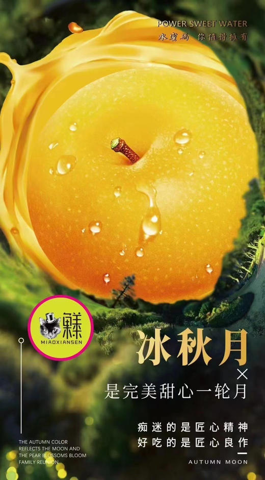 【冰糖秋月梨】礼盒7-9枚入约3.5kg 商品图9